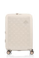 PAXTRA SPINNER 66/24 EXP TSA PV  hi-res | American Tourister